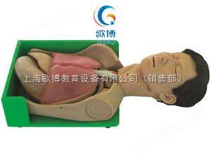 透明洗胃胃肠减压仿真标准化病人
