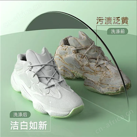洗鞋机懒人洗袜子洗鞋刷鞋神器小型家用自动洗衣机洗鞋子机器