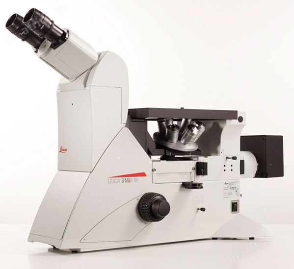 Leica DMi8 M.jpg