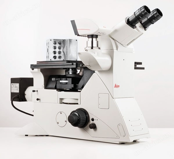 Leica DMi8  C.jpg