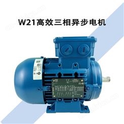 巴西WEG/万高三相异步电动机W21-250S/M-37-4P铝壳节能