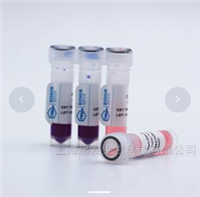 销售脂质体转染试剂哪家好