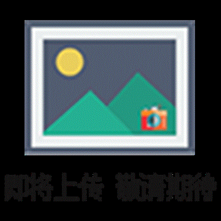 高速分散均质机 乳化机