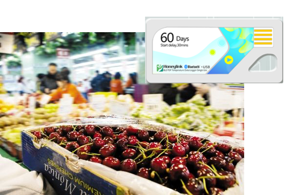 温湿度监控|温湿度记录仪|冷链监控|鸿睿物联 温湿度监控|温湿度记录仪|冷链监控|鸿睿物联